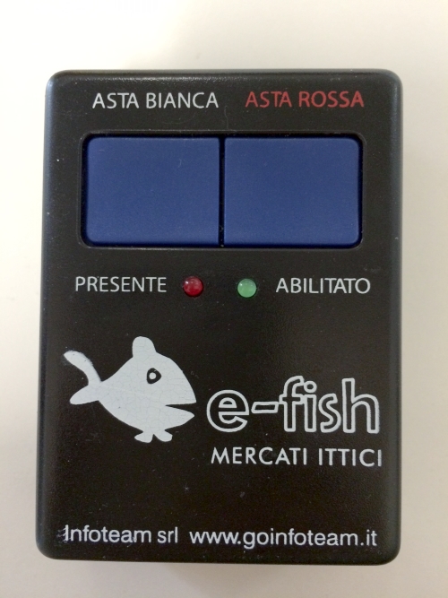 asta-mercato-ittico-software-efish-goinfoteam